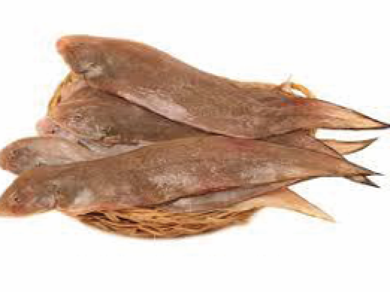 Tongue Sole