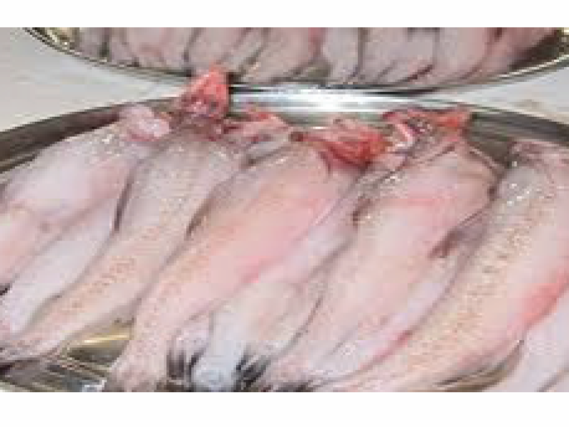 Bombay Duck