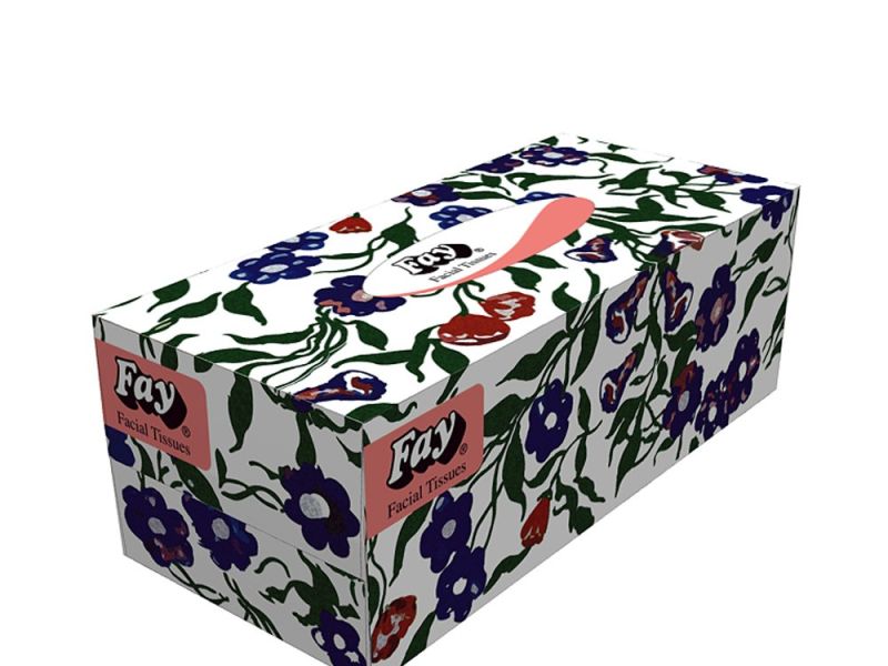 Fay Facial Tissue Non-Perfume (150 X 2 ply) Box