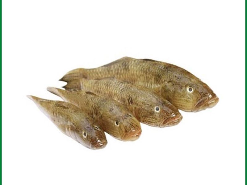 Baila Fish – বাইলা (বেলে) মাছ
