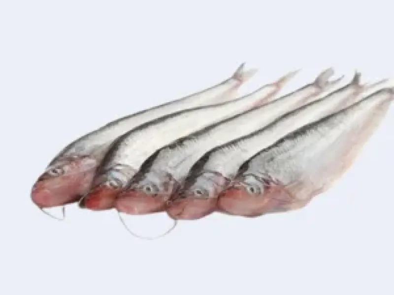 পাবদা মাছ 1kg