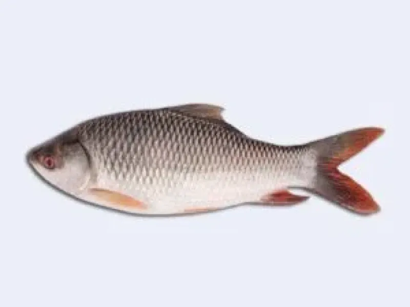 রুই মাছ  1kg up