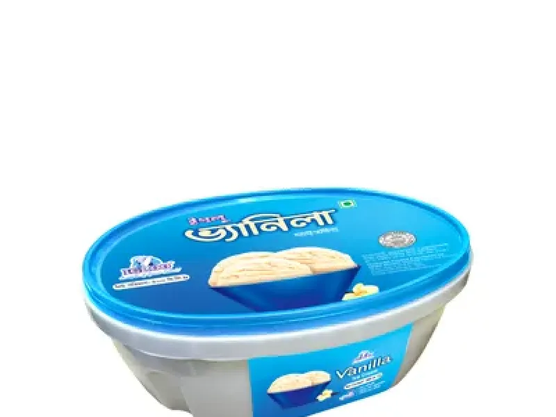Igloo Regular Vanilla Ice Cream 1L
