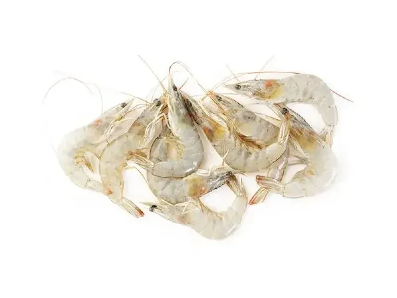 Shrimp Small